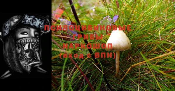 каннабис Алзамай